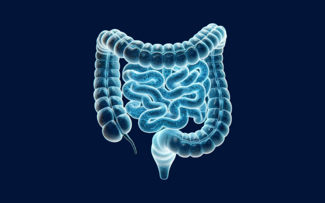 Παχύ Έντερο